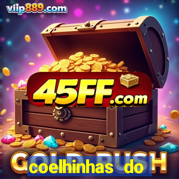 coelhinhas do brasil acompanhantes
